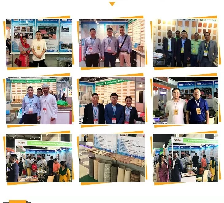 exhibiton